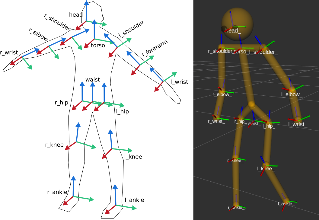 Main joints of the human kinematic model (right: human URDF model, rendered in rviz)